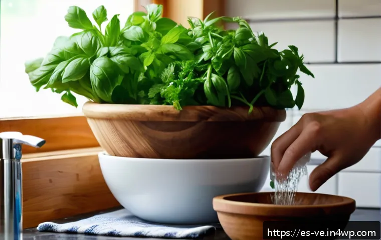 허브 풍미를 극대화하는 조리법 관련 이미지 2